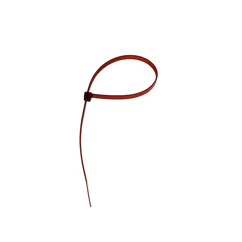 1900 03171697 SUJECIÓN DE PLÁSTICO