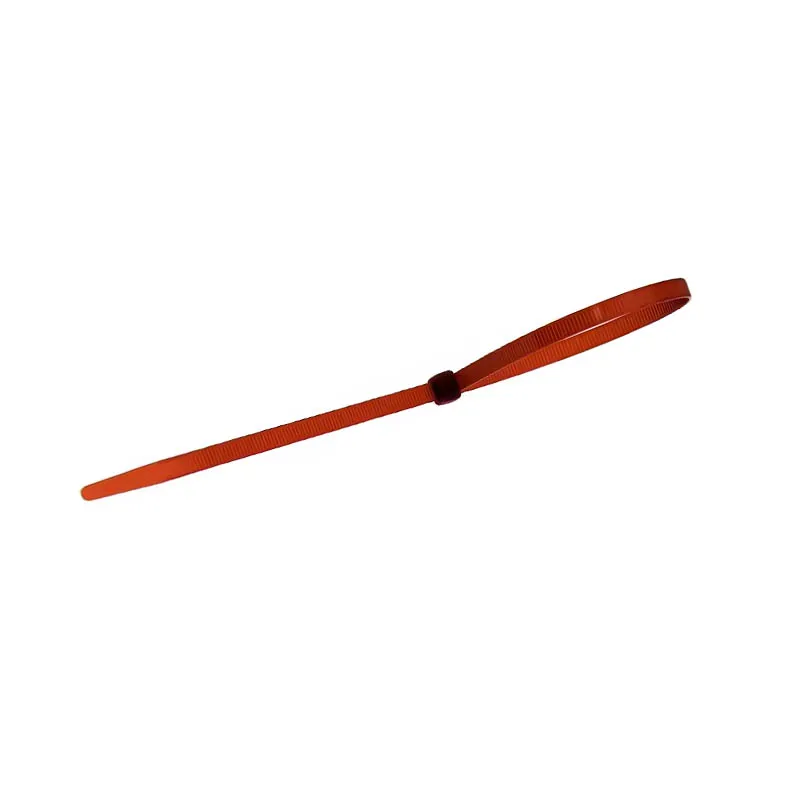 1900 03171697 SUJECIÓN DE PLÁSTICO