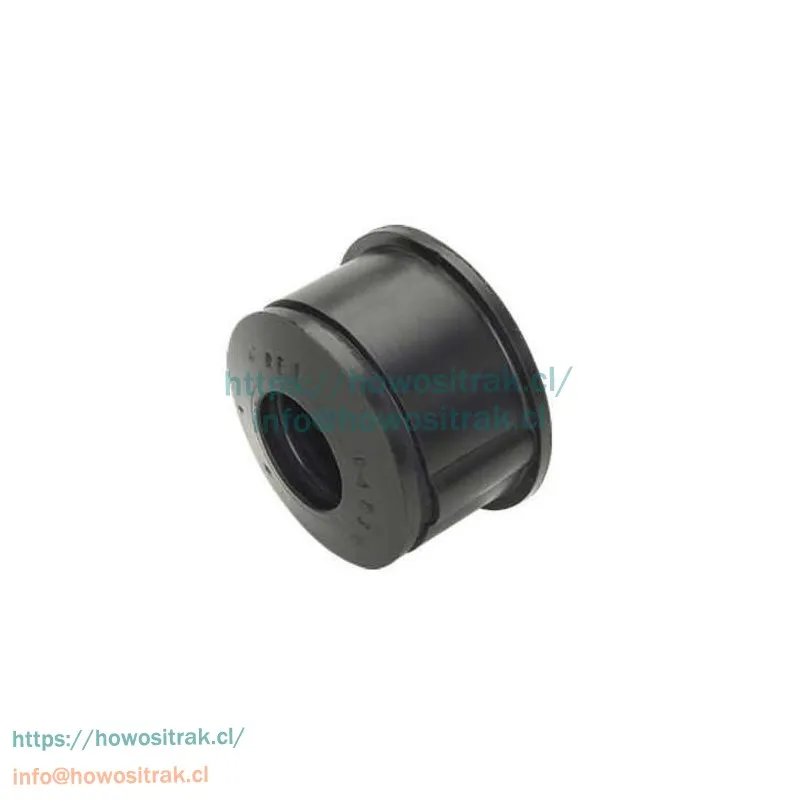 A3873260281 Buje de barra de estrella R1729A- Ng80B trasero