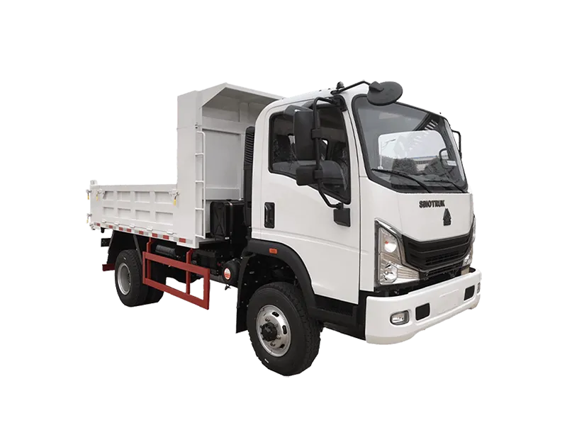 Potente Homan Truck en carretera chilena